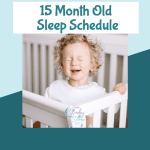 15 Month Old Sleep Schedule