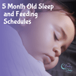 5 Month Old Baby Sleep and Feeding Schedules